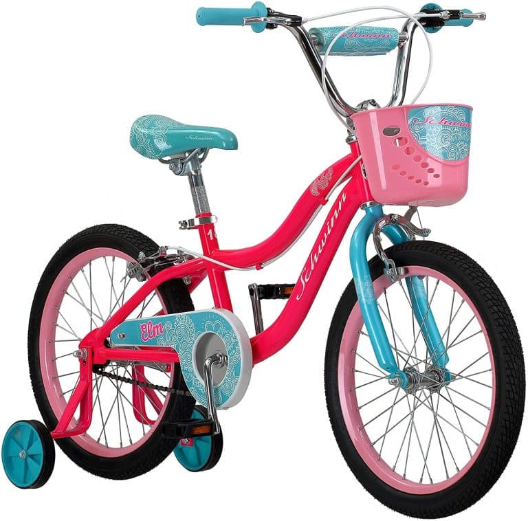 RoyalBaby Freestyle Kids Bike